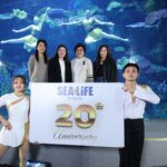 ซีไลฟ์แบงคอกฉลองครบรอบ 20 ปียิ่งใหญ่จัดแสดง Dive Into the Water Dance Show! สุดอลังการพร้อมเปิดตัวมูลนิธิซีไลฟ์แบงคอกพลัสตอกย้ำเบอร์ 1 ศูนย์กลางการเรียนรู้และความบันเทิงโลกใต้ทะเลกลางกรุง